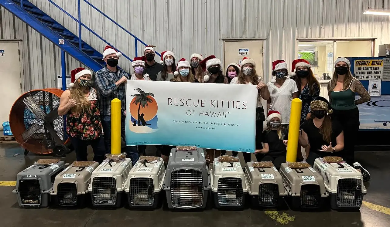 Volunteers in Santa hats holding a Rescue Kitties of Hawaiʻi banner behind a row of cat carriers